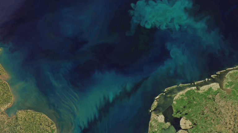 Climate change may be changing the color of Earth’s oceans_64bbe0482a4f4.png