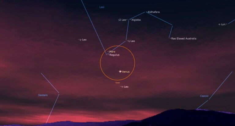 See the Red Planet Mars shine beside the blue star Regulus tonight_64ac0dd834d3f.jpeg