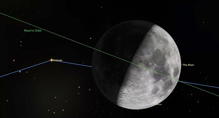 See the moon eclipse the red supergiant star Antares tonight_64e75fb56a8fe.jpeg