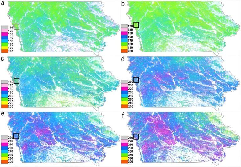 Algorithm allows farmers to monitor crops in real time_65147e21bdaa6.jpeg