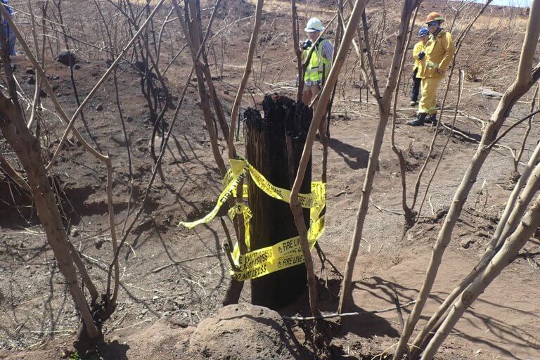 An old car tire, burnt trees and a utility pole may be key in finding how the Maui wildfire spread_65147d7a79778.jpeg