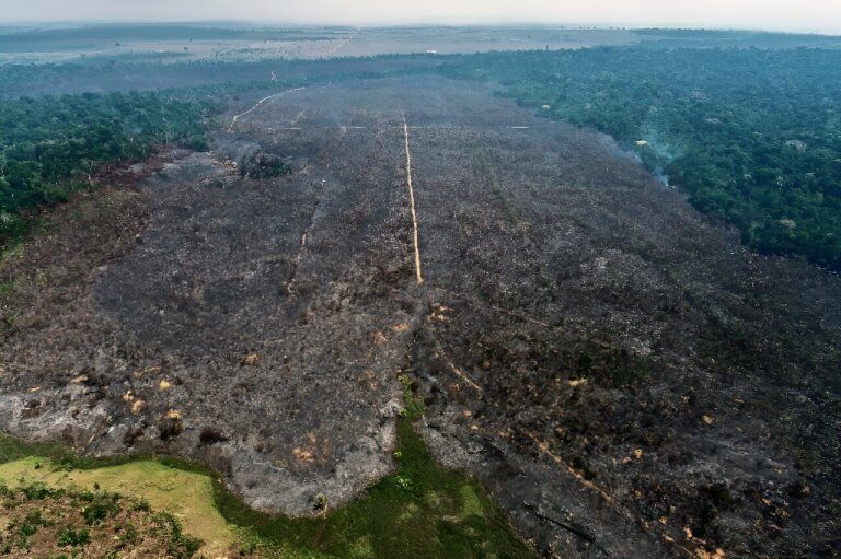 Arson turns Amazon reforestation project to ashes_65147da3acc14.jpeg