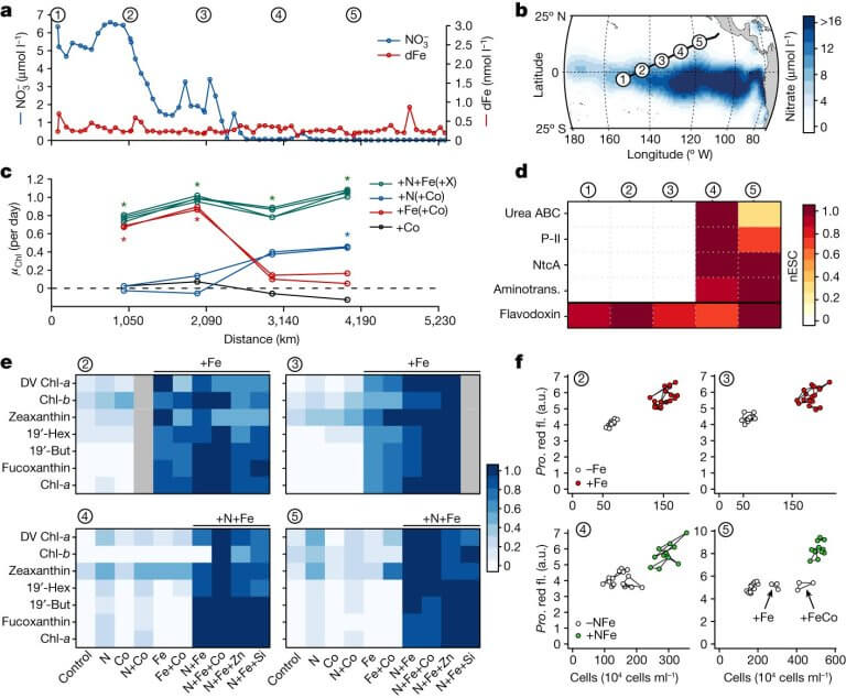 Assessing controls on ocean productivity—from space_65147fe6ab8c7.jpeg