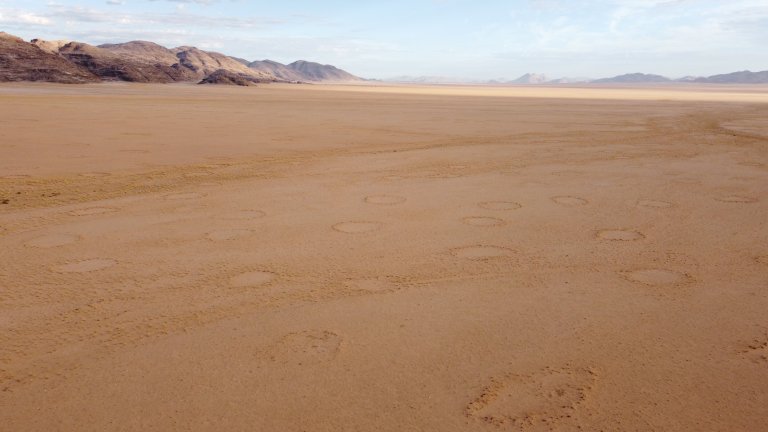 Deciphering the enigmatic global distribution of fairy circles_65147d8dcd679.jpeg