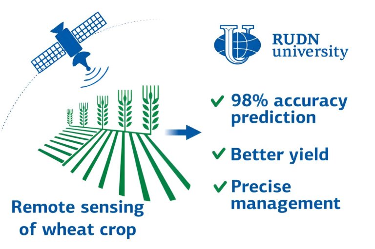 Ecologists use satellite images to predict wheat yield with 98% accuracy via satellite imagery_65147d67854e5.jpeg