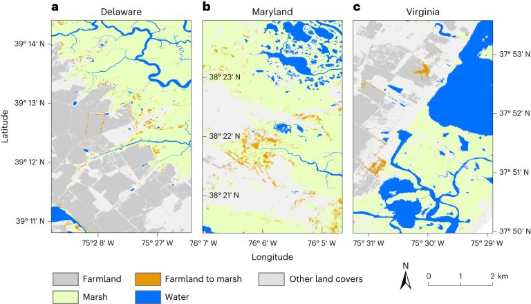 How saltwater intrusion is wreaking havoc on farms throughout Delmarva_651480c659eb7.jpeg