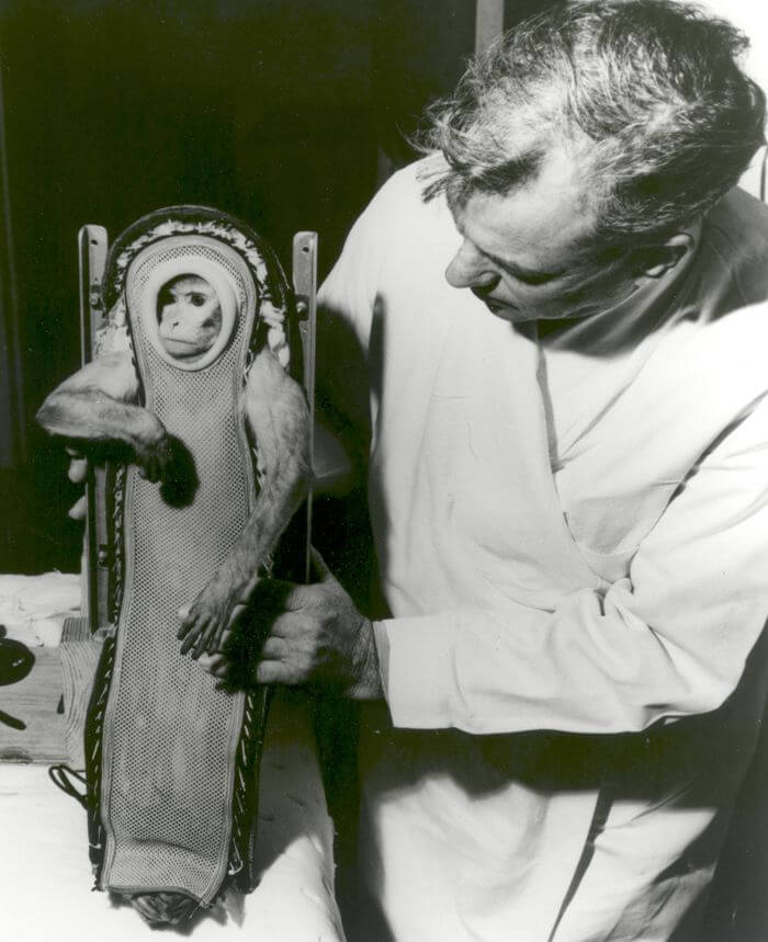 On This Day In Space: Sept. 16, 1949: V-2 Rocket Explodes, Kills Monkey Passenger_6505d538b6961.jpeg