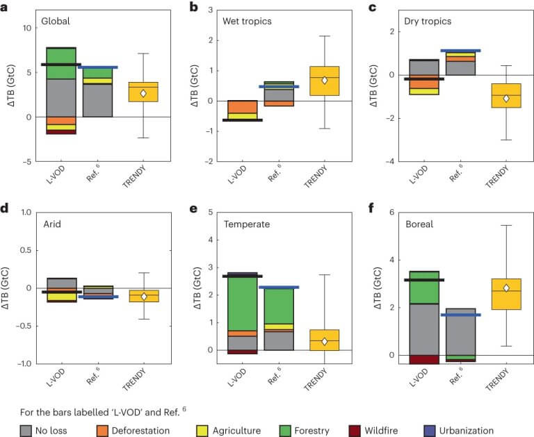 Boreal and temperate forests now main global carbon sinks, satellite image analysis finds_651c209befb69.jpeg