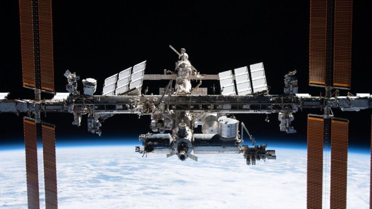 Can humans reproduce in space? Mouse breakthrough on ISS a promising sign_6541839b35a34.jpeg