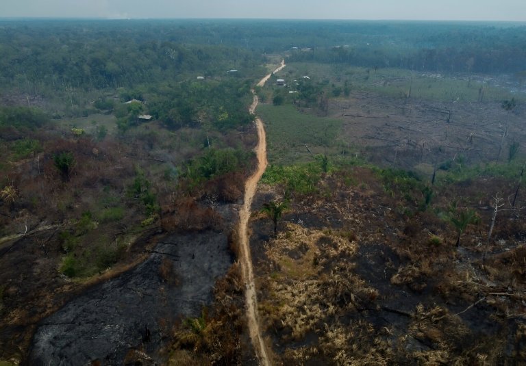 Deforestation down in Brazil’s Amazon_6521676f246dd.jpeg