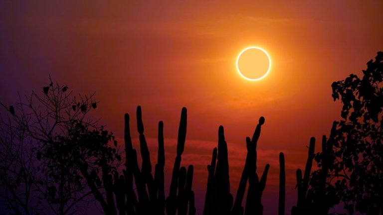 How to watch annular solar eclipse on Oct. 14_65202b9f92082.jpeg