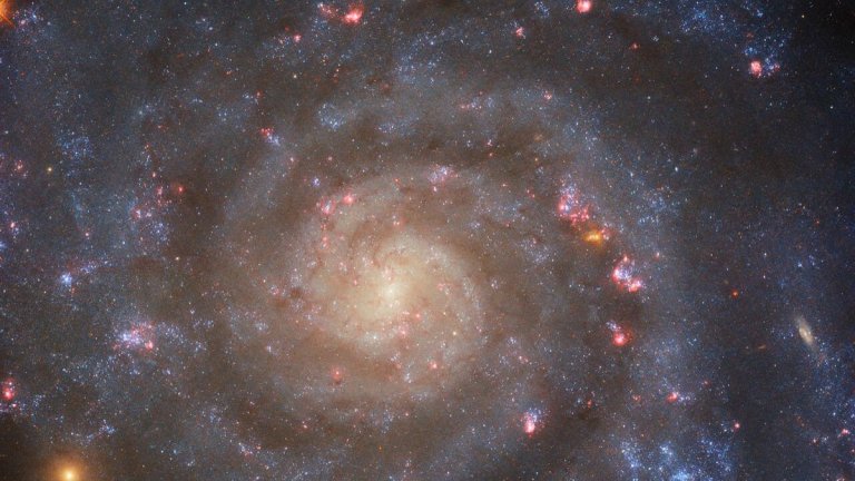 Hubble Telescope captures the bright core of a loosely wound spiral galaxy (photo)_65305b4c17201.jpeg