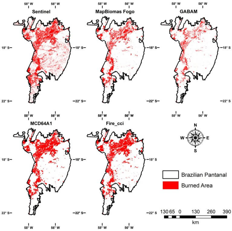 In 2020, 30% of the Pantanal was burned to cinders by wildfires_652fec02c4fda.jpeg