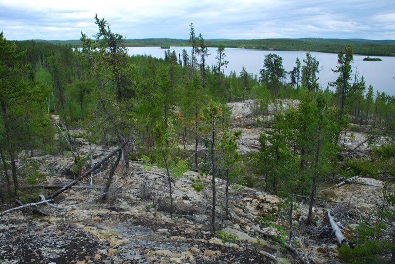 New study shows surprising effects of fire in North America’s boreal forests_6537d23714472.jpeg