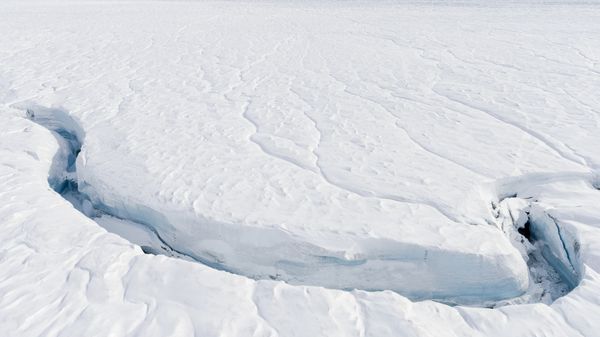 Satellite data reveals ancient landscape preserved beneath East Antarctic ice sheet_653a785bb0703.jpeg