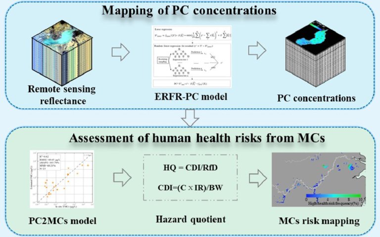 Satellite helps monitor microcystin risk in lakes at a large scale_6527fc6f5184a.jpeg