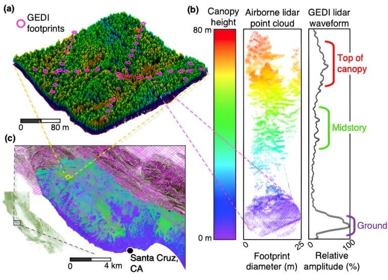 Measuring biodiversity across the US with space-borne lidar_656753d1b710f.jpeg