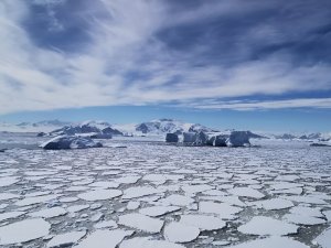 Melting ice, falling snow: Sea ice declines enhance snowfall over West Antarctica_654ba00c6e4c8.jpeg