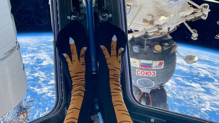 NASA astronaut celebrates Thanksgiving on ISS with turkey socks, Earth views_65612cdf2cef4.jpeg