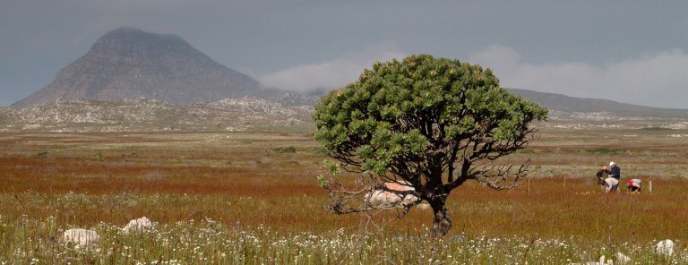 NASA aids international team studying one of the world’s most diverse ecosystems_65787570c42dc.jpeg