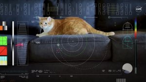 NASA beamed a cat video back to Earth from deep space_6587145dc03b5.jpeg