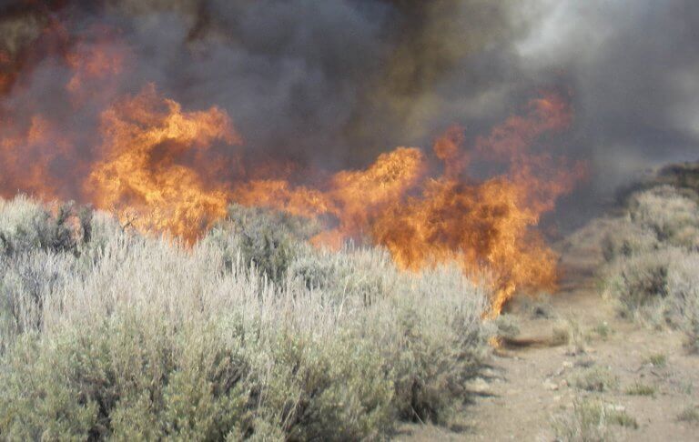 Strange burn: New research identifies unique patterns in Utah wildfires_656f3afbcd723.jpeg