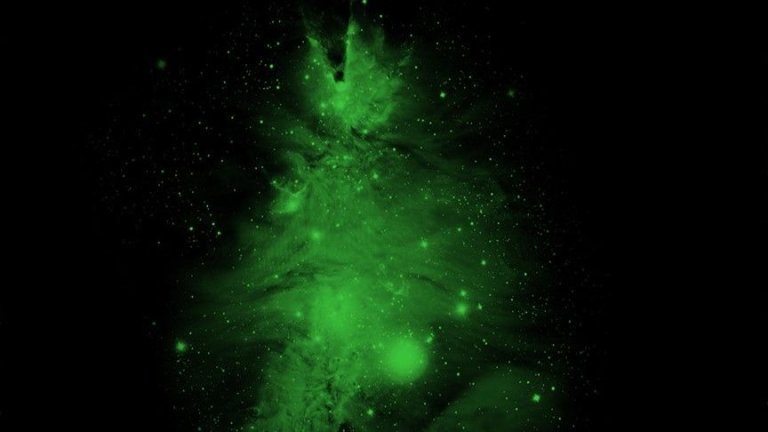 Watch the ‘Christmas Tree Cluster’ twinkle in X-rays (video)_658456ea0d0e1.jpeg