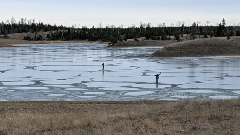 A shallow lake in Canada could reveal how life on Earth began_65b1854d9e53b.png