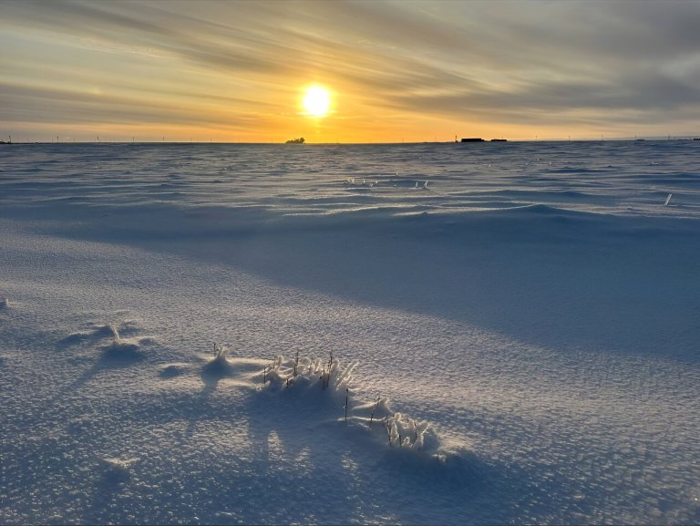 Chasing the light: Study finds new clues about warming in the Arctic_65a153cd1d5af.jpeg