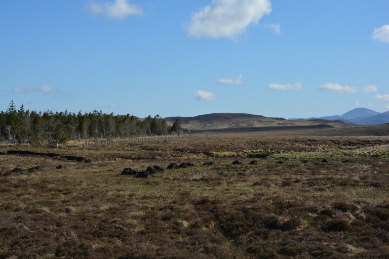 Despite the climate crisis, Scotland is burning as much carbon-rich peatland as it did in the 1980s_65b125d0ed718.jpeg