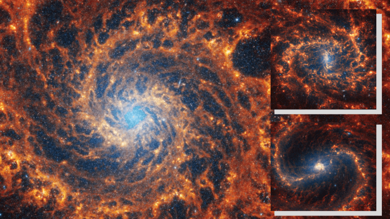 James Webb Space Telescope observes 19 intricate galaxy structures in stunning detail (images)_65b8325bb81a7.png