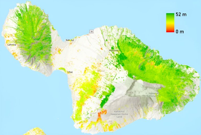 New Maui forest height research could impact water yields, fire risk and more_659eb0cbd252f.jpeg