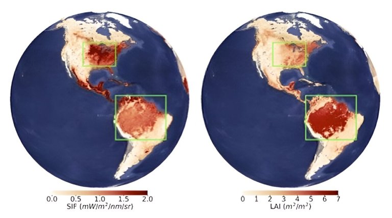 Shadows and greenness: Uncovering satellite biases in viewing Earth’s vegetation_659eb0d5709c0.jpeg