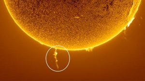 ‘A wonderful spectacle’: Photographer snaps rare solar eruption as ‘magnetic noose’ strangles the sun’s south pole_65dbaaaf173bf.jpeg