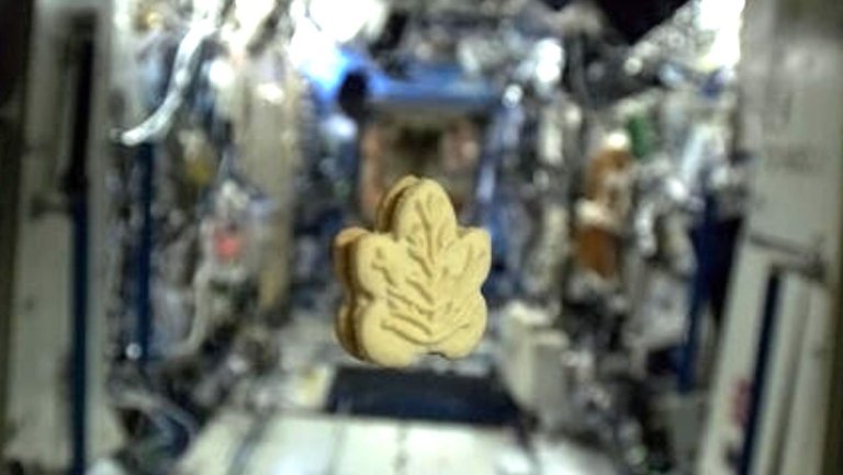 Artemis 2 moon astronauts will enjoy maple cream cookies and smoked salmon thanks to Canada_65db3a07e1611.jpeg