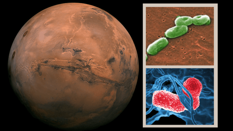 Astronauts may accidentally threaten Mars missions with their gut bacteria, scientists warn_65cbee50a0b04.png