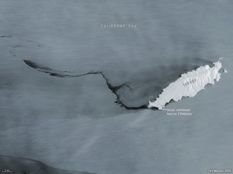 Image: Sentinel-1 captures Tobago oil spill_65d0c9dc0893a.jpeg