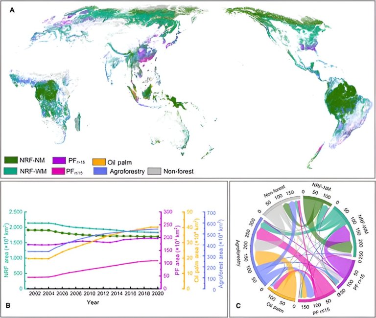 A green revolution: How forests are changing and what it means for the planet_65f5b3ff4e3ba.jpeg