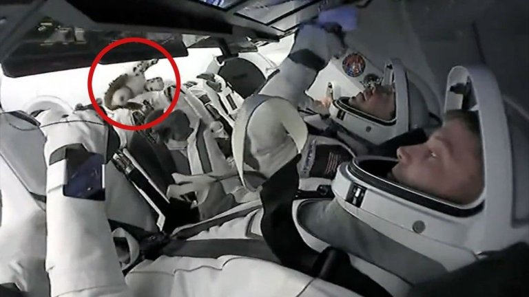 Crew-8’s adorable ‘family dog’ plushie is SpaceX’s latest zero-g indicator_65e5f3a0ef708.jpeg