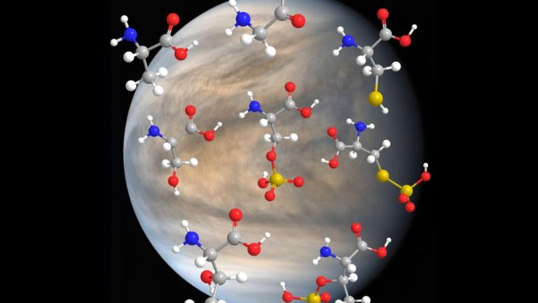 Life as we know it could exist on Venus, new experiment reveals_66063325e71e5.jpeg