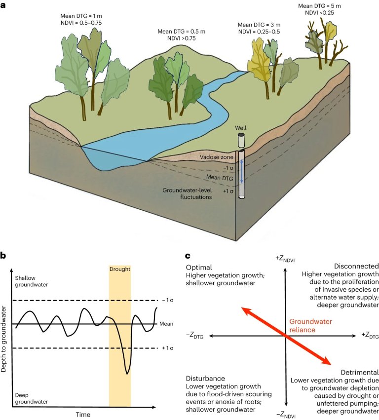 Examining groundwater’s role in ecosystem sustainability_660ec04e4dfeb.jpeg