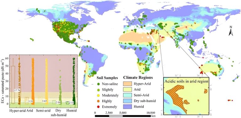 Mapping the world’s salted soils: A leap forward in combating land degradation_6616a94e385ea.jpeg