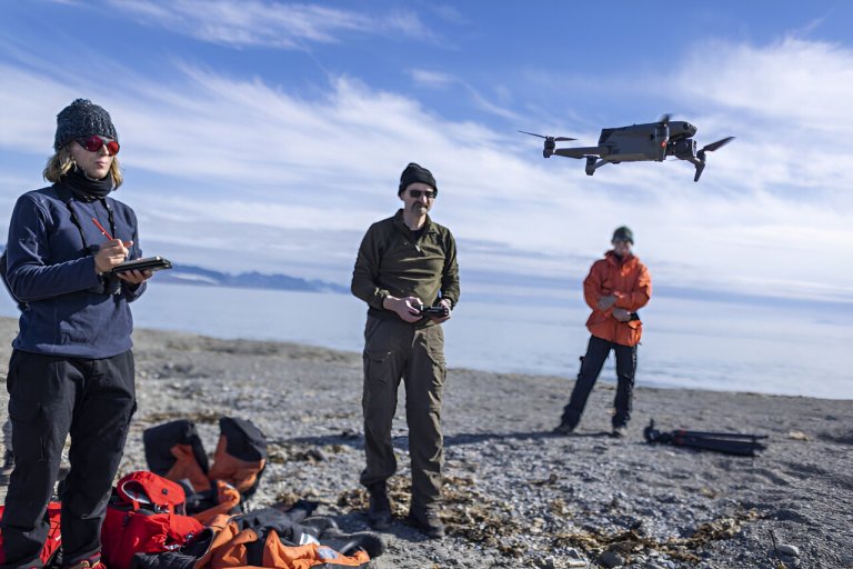 Drones validate walrus counts in satellite images from space_6650ab606b068.jpeg