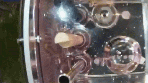 Just keep swimming! Zebrafish doing fine in zero gravity on China’s Tiangong space station (video)_665652f520e35.gif