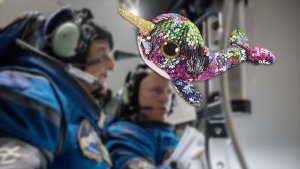 ‘Sparkly’ narwhal toy trades sea for space as Boeing Starliner zero-g indicator_6639c231010e2.jpeg