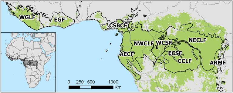 Wildfires in wet African forests have doubled in recent decades, large-scale analysis finds_6634fbd16d0fe.jpeg