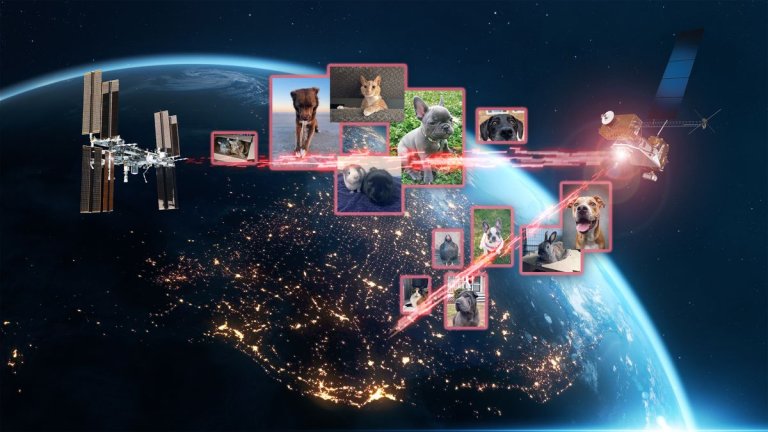 Bark! Meow! Cluck! NASA uses lasers to beam pictures of pet dogs, cats and chickens to the ISS_666b7892b48be.jpeg