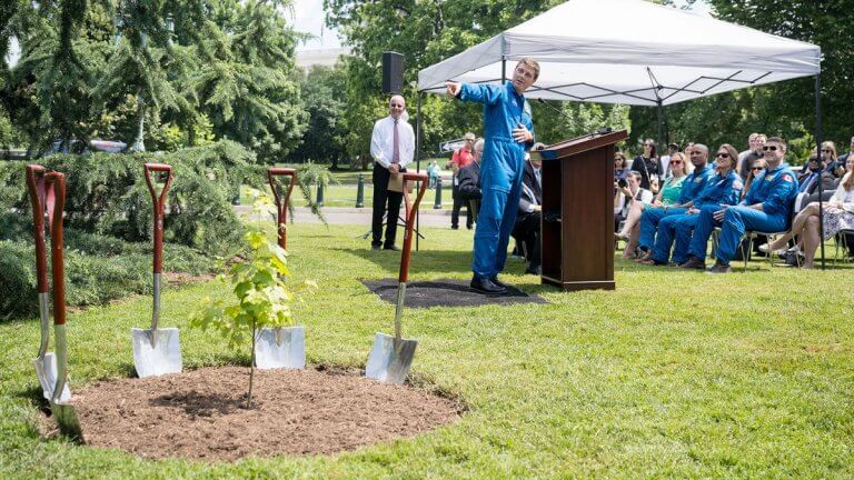 ‘Most unique tree here:’ Artemis Moon Tree planted at US Capitol_6662556e67d19.jpeg