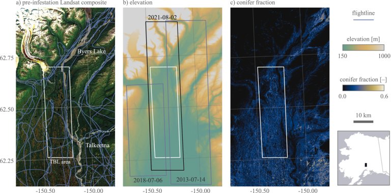 New way to spot beetle-killed spruce can help forest, wildfire managers_666b0950328fc.jpeg