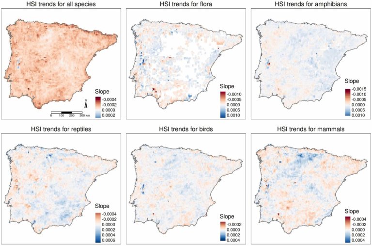 Pauses in human activity benefit biodiversity_667c2d0e958a5.jpeg